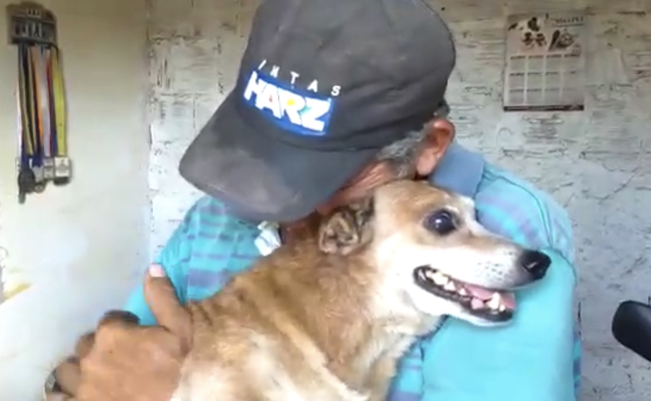 Após perder casa em incêndio, pedreiro se emociona ao encontrar seu cachorrinho