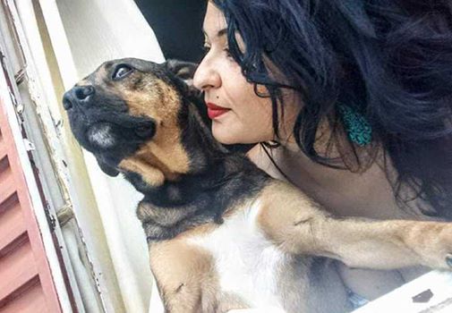 Emocionante: ‘carta’ de cachorro resgatado para dono que o abandonou viraliza na internet