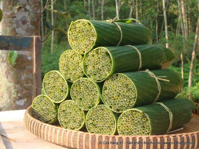 Capim vira matéria-prima para fabricação de canudos biodegradáveis em empresa vietnamita