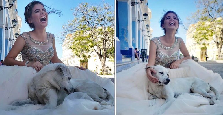 Cão de Rua Invade Sessão de Fotos de Debutante e Ela Não Hesita em Eternizar Esse Momento