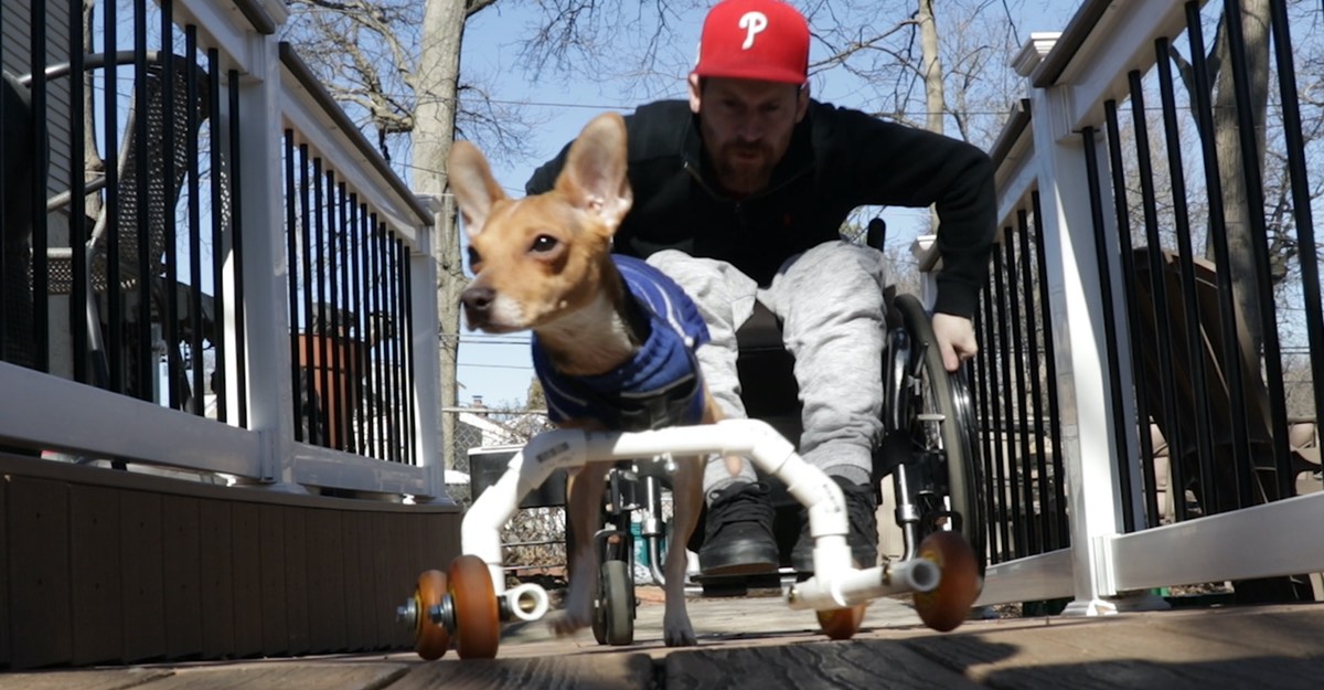 Homem cadeirante adota cão sem as patas dianteiras. Agora são companheiros de rodas!