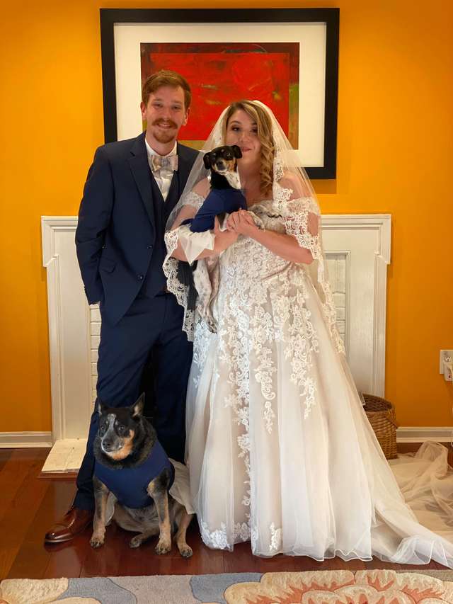 Devido ao cancelamento do seu casamento, casal decide colocar seus cães como ‘damas de honra’