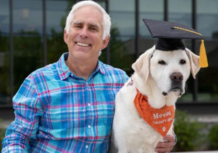 Cão recebe diploma honorário por ajudar em hospitais