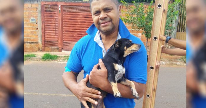 Homem entra em bueiro e salva cachorrinha atropelada em Campo Grande (MS)