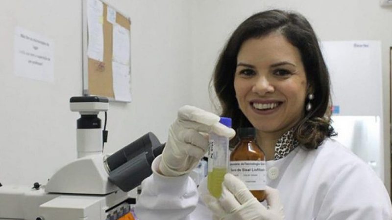 Universidade Federal da Paraíba cria inseticida barato capaz de matar mosquito da dengue