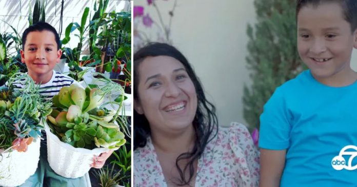 Menino de 8 anos abre floricultura em casa para ajudar a mãe, que perdeu o emprego na pandemia