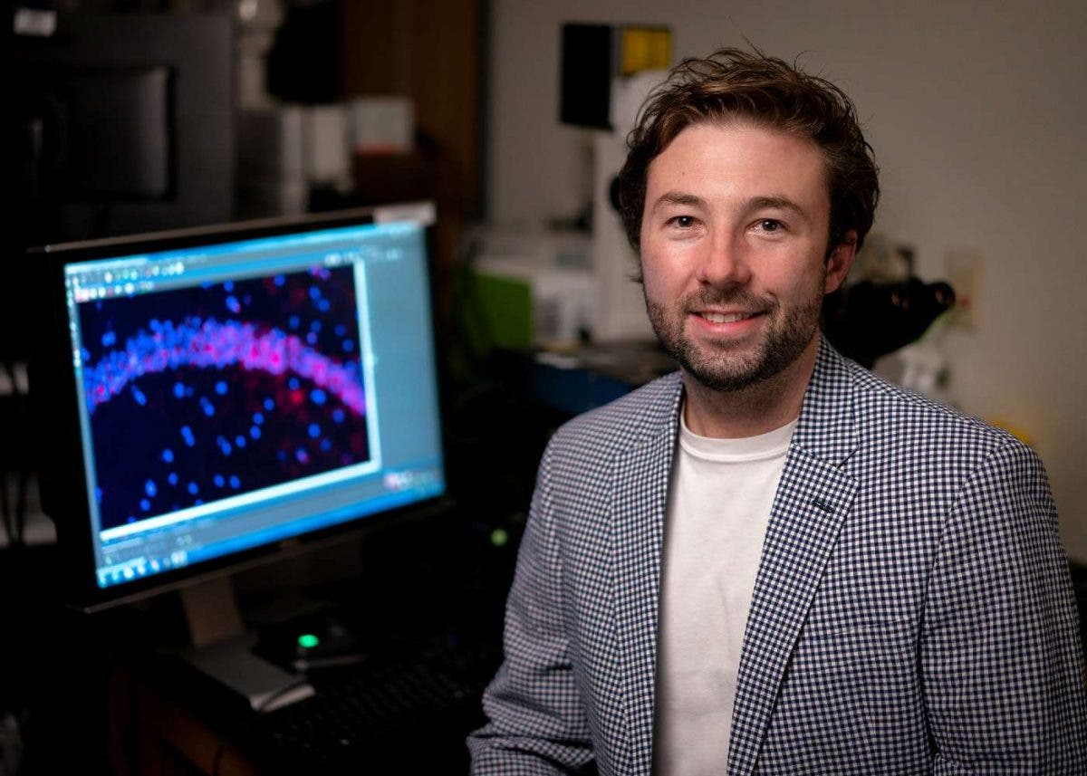 Pesquisa descobriu uma proteína que protege contra o Alzheimer
