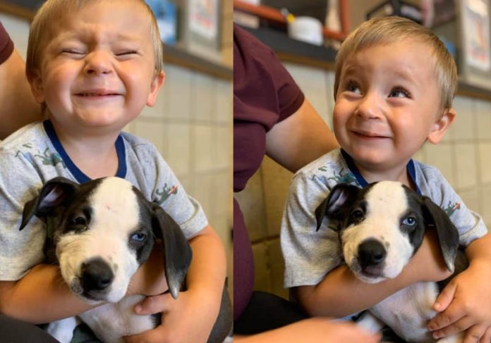 Menino com lábio leporino adota cão com a mesma condição: amigos