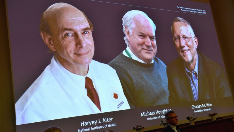 Nobel de Medicina é de cientistas que pesquisaram vírus da hepatite C
