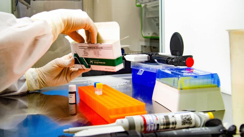 Dezenove pesquisadores brasileiros estão entre os mais citados de 2020