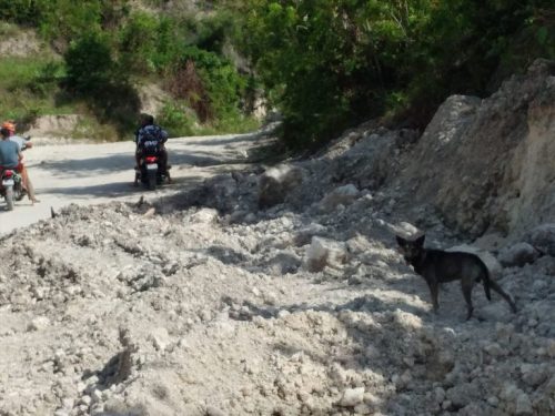 Cachorro avisa e motociclista salva bebê abandonado perto de lixão