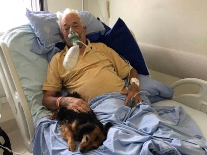 Idoso recebe sua cachorrinha no hospital antes de falecer de COVID-19. Partiu em paz!