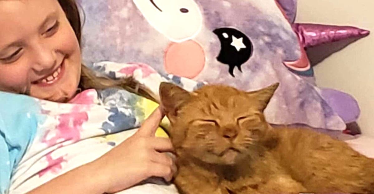 Mãe percebe que sua filha levou gato desconhecido para casa quando os encontra dormindo juntos