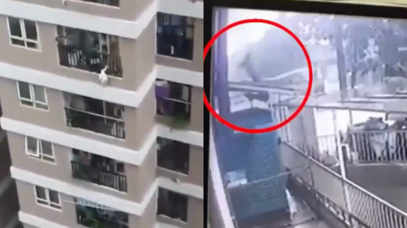 Impressionante! Homem salva garota de 2 anos que caiu do 12º andar de prédio, no Vietnã: “Pulei do carro imediatamente”; assista