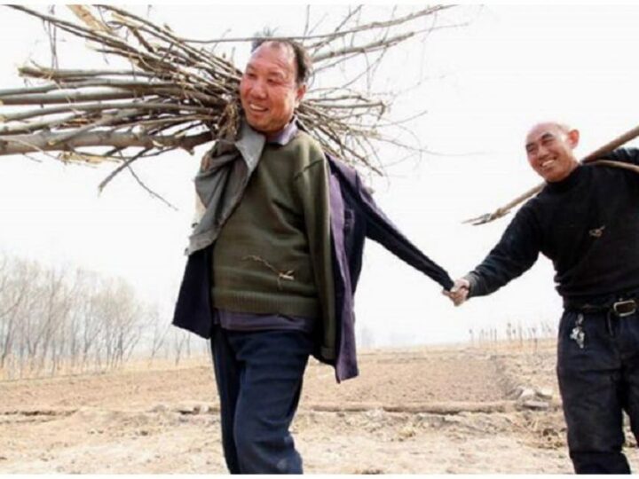 Homem cego e seu amigo sem braços plantaram 10.000 árvores na China em 10 anos