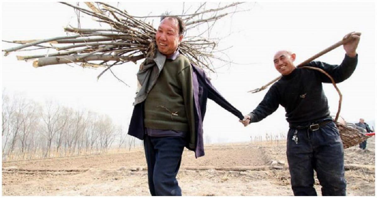 Homem cego e seu amigo sem braços plantaram 10.000 árvores na China em 10 anos