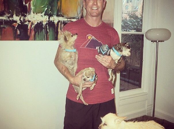 Homem dedica a vida a ajudar cães idosos com poucas chances de adoção