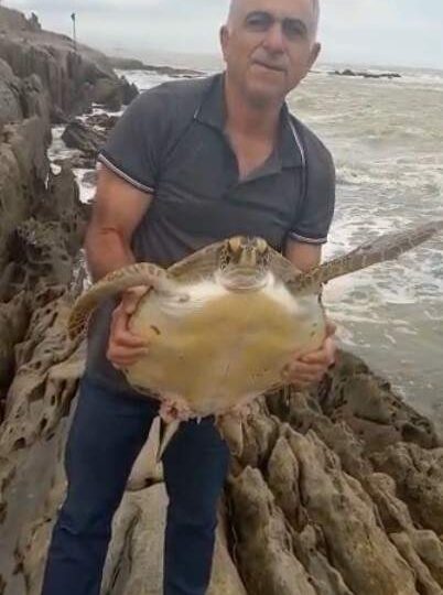 Pedreiro de Cariacica salva tartaruga de 10 kg presa numa rocha em praia de Marataízes