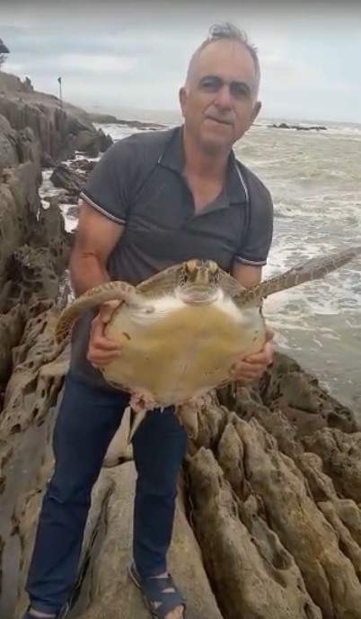 Pedreiro de Cariacica salva tartaruga de 10 kg presa numa rocha em praia de Marataízes