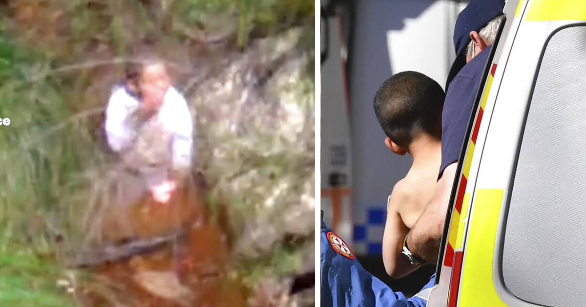 Garotinho autista de 3 anos se perde na mata e sobrevive três dias sozinho