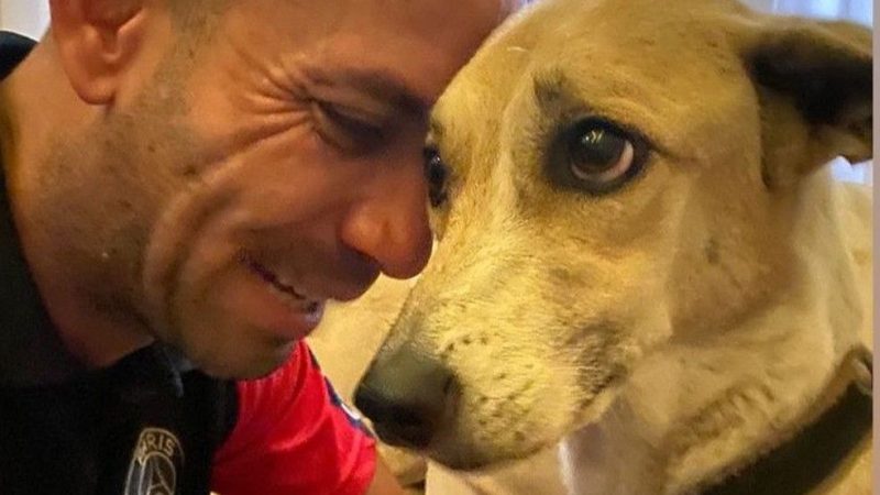 Pandora, cachorra que sumiu em conexão de voo, é encontrada após 45 dias
