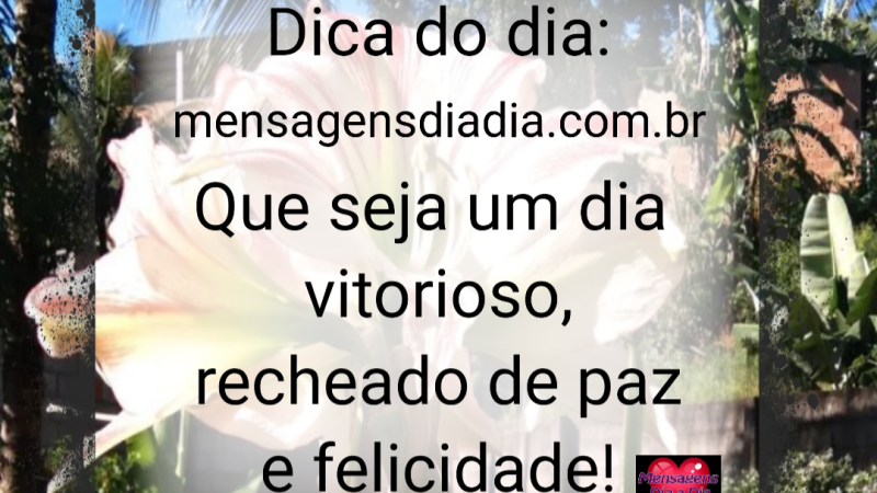 Um dia de vitórias sem fim….