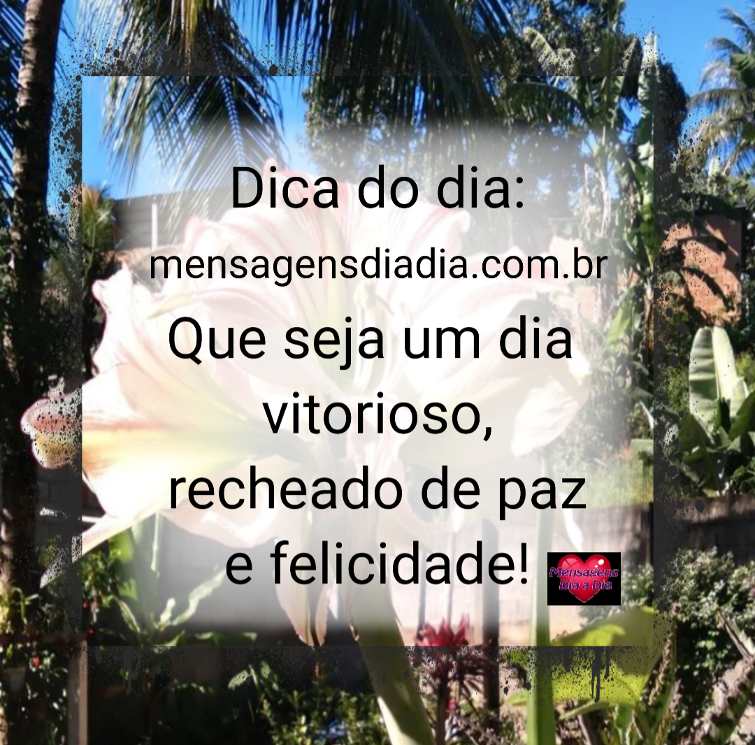 Um dia de vitórias sem fim….