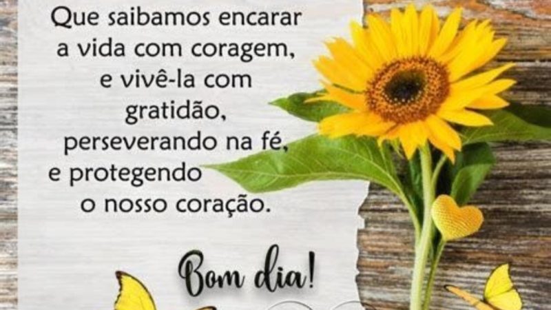 Gratidão sempre!