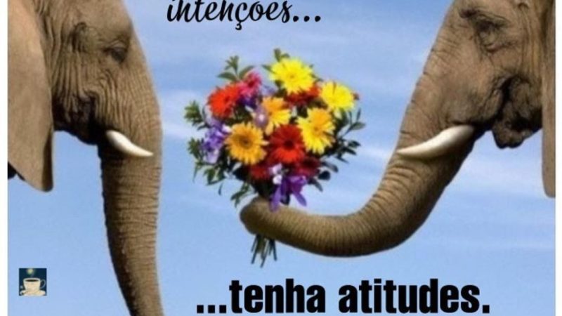 Atitude é uma pequena coisa que faz uma grande diferença