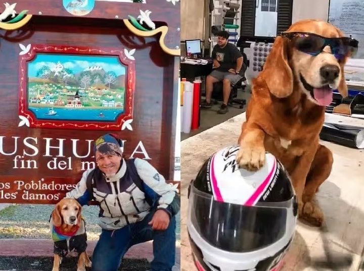 De moto, professor brasileiro e cão adotado já visitaram 15 países
