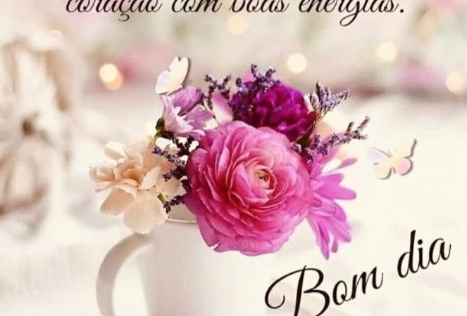 Que seu dia seja cheio de boas energias……