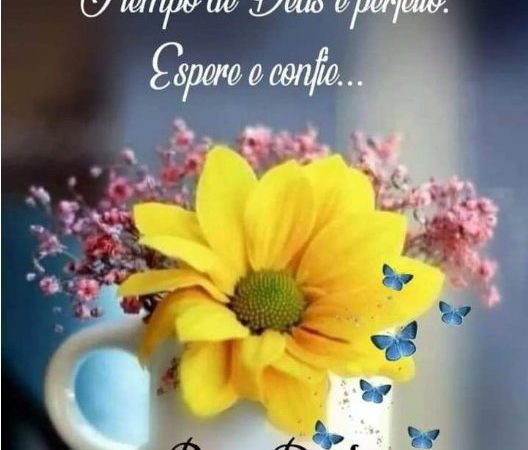 O tempo de Deus é perfeito