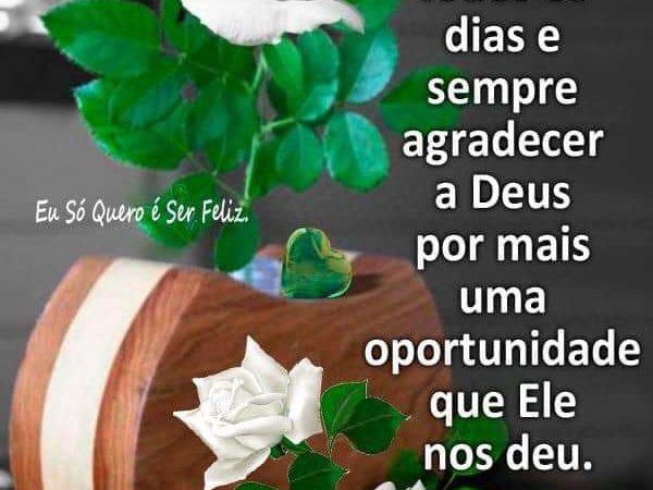 Felicidade é acordar e sempre agradecer a Deus