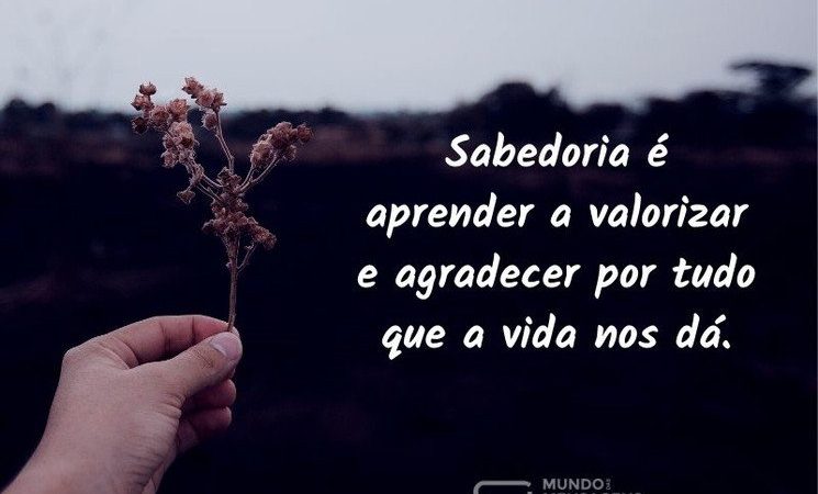 Sabedoria é aprender