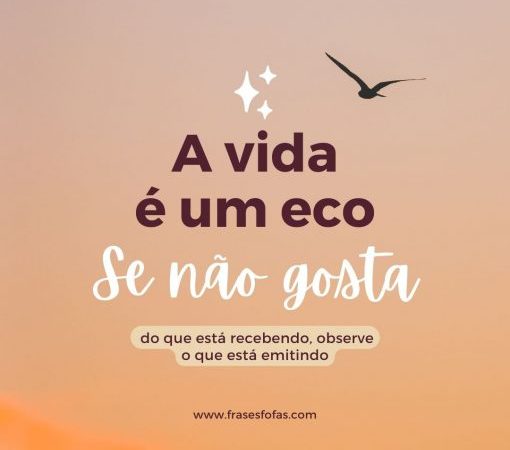 A vida é um eco…