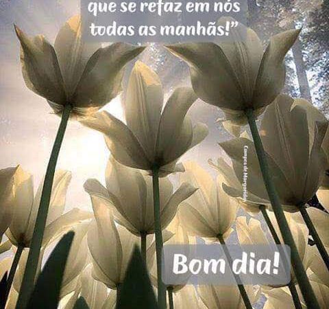 Abençoada seja a vida!