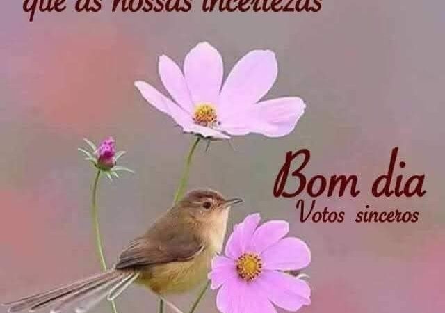 Que a sua fé seja mais  forte que as suas incertezas!